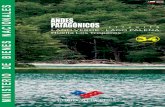 Andes Patagónicos Lago Verde - Lago Palena - Ruta 34