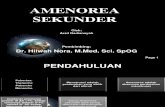 AMENOREA SEKUNDER 2