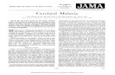 JAMA Cerebral Malaria.full