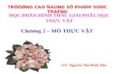 Chuong 2 Mo Thuc Vat