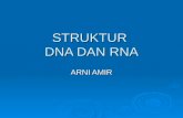 Struktur DNA Dan RNA
