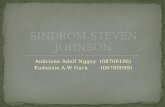 Sindrom Steven Johnson Power