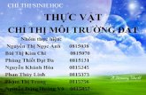 Thuc Vat Chi Thi Moi Truong Dat 2613