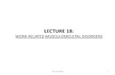 Lecture 19 Musculoskeletal