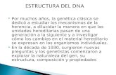 Estructura Del DNA