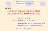 Che Tao Va Khao Sat Tinh Chat Cua Chat Long Tu Ferit CoFe2O4