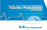 Guía de Reanimación Cardiopulmonar Básica ESSALUD 2011