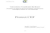 Proiect CEF
