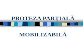 Curs 1 - Proteza Partiala Mobilizabila