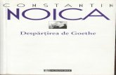 Constantin Noica, Despartirea de Goethe