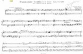 Bizet - Carmen (Flauta y Guitarra)