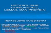 11. METABOLISME Karbohidrat Lemak Protein