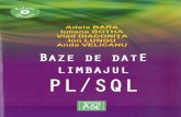 2 Baze Date. Limbajul PL SQL, 2009, 121675