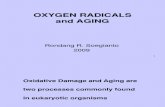 1. Biokim Prof Rondang - Oxygen Radicals & Aging