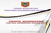 22 Profil Kes.prov.KalimantanSelatan 2012