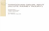 Css Gangguan Ginjal Akut (Acute Kidney Injury)