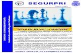 Monográfico UCSP Segurpri nº 25: Plan estratégico del CNP en Seguridad Privada ("Plan estratégico SEGURPRI")