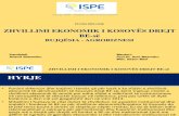 Zhvillimi Ekonomik i Kosoves Drejt Be-se