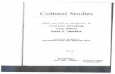 Fiske Cultural Studies Ch 10