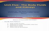 renal physiology . ch25