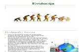 Evolucija 2