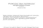 Polinazion and Fertilization of Angiospermae
