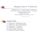 5500 Beginners Python