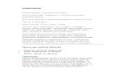 Calêndula - Calendula officinalis L. - Ficha Completa Ilustrada