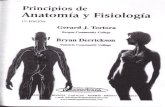 Principios de Anatomia y Fisiologia Tortora Cap 1