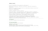 Alecrim - Rosmarinus officinalis L. - Ervas Medicinais - Ficha Completa Ilustrada