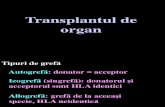 Transplant Curs 14 Nou