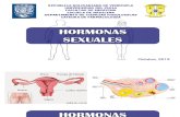 Hormonas Sexuales Octubre 2013