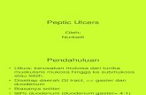 Peptic Ulcers.ppt