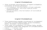 Masti Oksidacija  lipidi  oksidacija  inicijacija  propagacija]terminaija