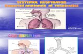 sistemul Respirator  curs