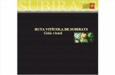 Rutes Vitivinícolas de Subirats - Guía Visual