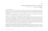 Pathogenesis Vitiligo Mantab