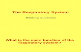 Respiratory System TQ