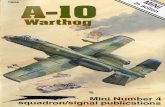 1604 - A-10 Warthog