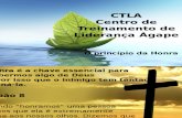 CTLA - Principio Da Honra