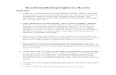 Encefalopatía Espongiforme Bovina ...2