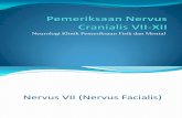 Pemeriksaan Nervus Cranialis VII-XII.pptx