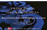Principios de Neurociencia_1 de 12