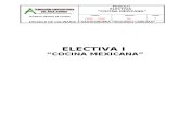 Guia Cocina Mexicana (Electiva)