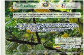 Guía del manejo integrado de enfermedades del cultivo de cacao (Theobroma cacao L.) en la Amazonía.