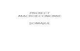 Macroeconomie - Somajul