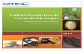 Cacao Cadena Productiva Nicaragua
