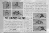 Shaolin kung fu 18 Luohan Quan, forms 1~10