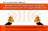 Prof. Konstantin Meyl -- Elektromagnetische Umweltverträglichkeit Teil3 (InhaltsVZ)