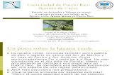 Estudio de actitudes y valores en cuanto a especies exóticas con énfasis en la iguana verde (Iguana iguana) en Puerto Rico